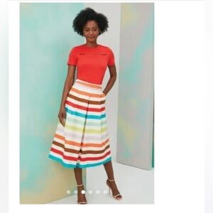 Carlisle multi color Striped pleated a-line  Skirt